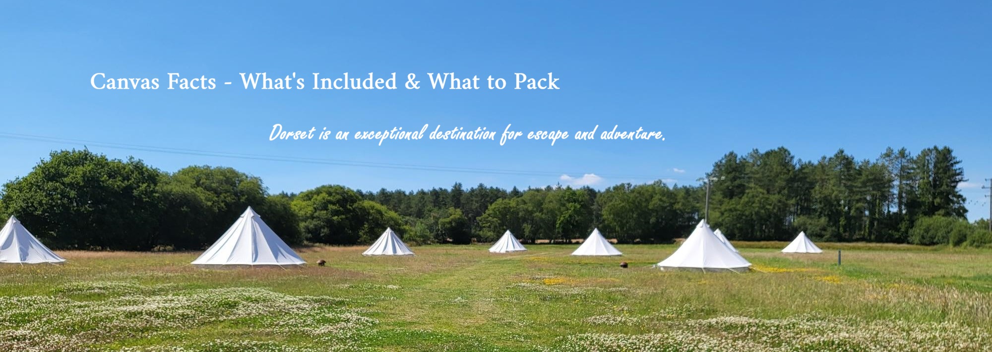 Canvas Facts Dorset Glamping
