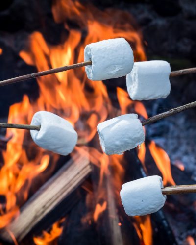 BBQ Marshmallows at Dorset Glamping